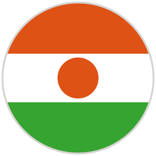 Niger flag