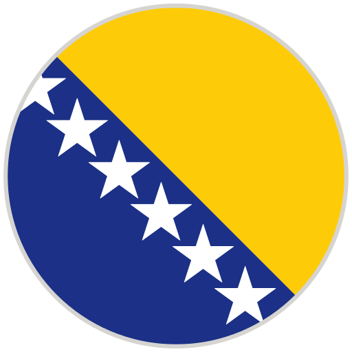 Bosnia and Herzegovina flag