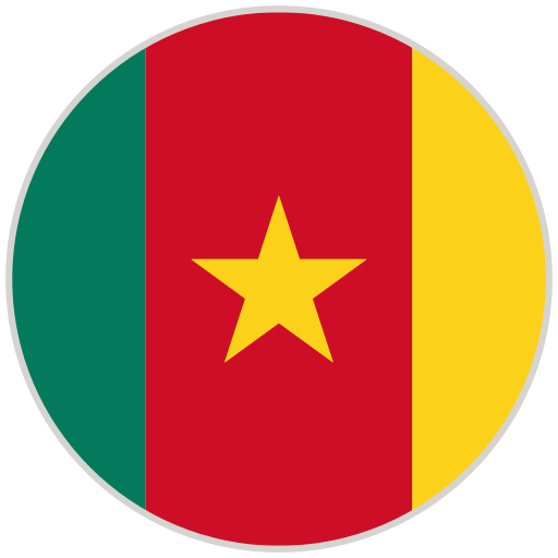 Cameroon flag