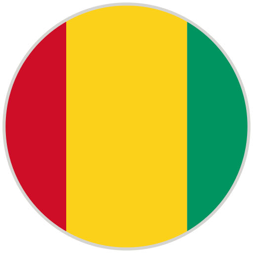 Guinea flag